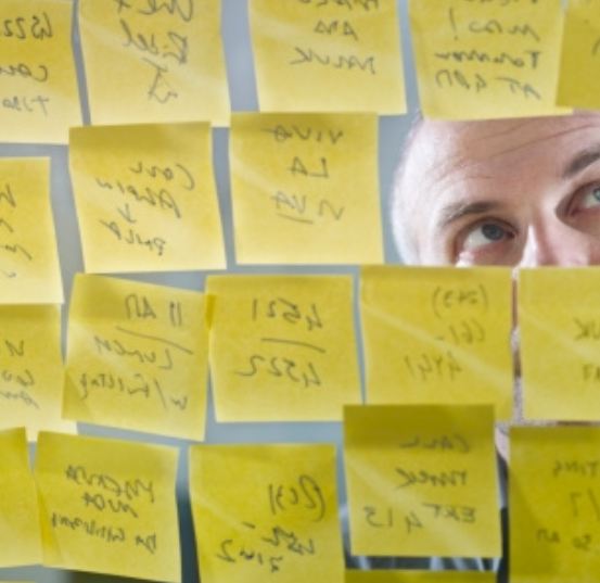 Neuroliderazgo-NeuroCoaching-Ejecutivo-Sistémico-Piezas-Pensamiento-Transversal-Marité-Rodríguez